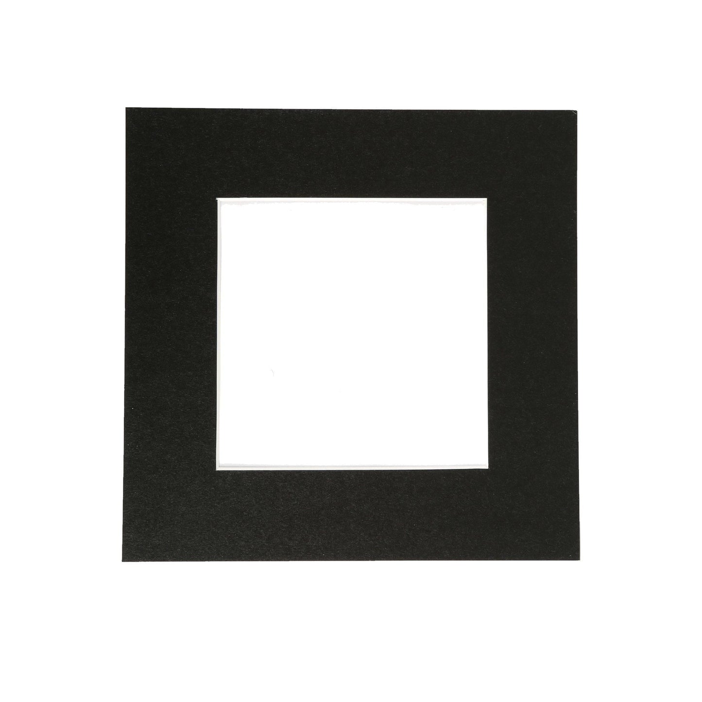 6 x 6 Picture Mount for 10 x 10 Frame