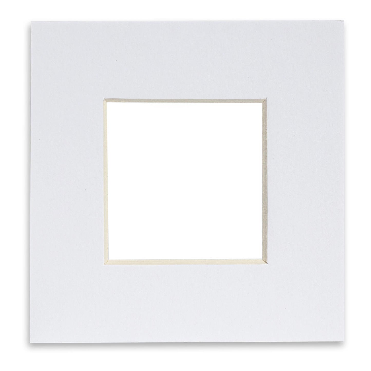 6 x 6 Picture Mount for 10 x 10 Frame